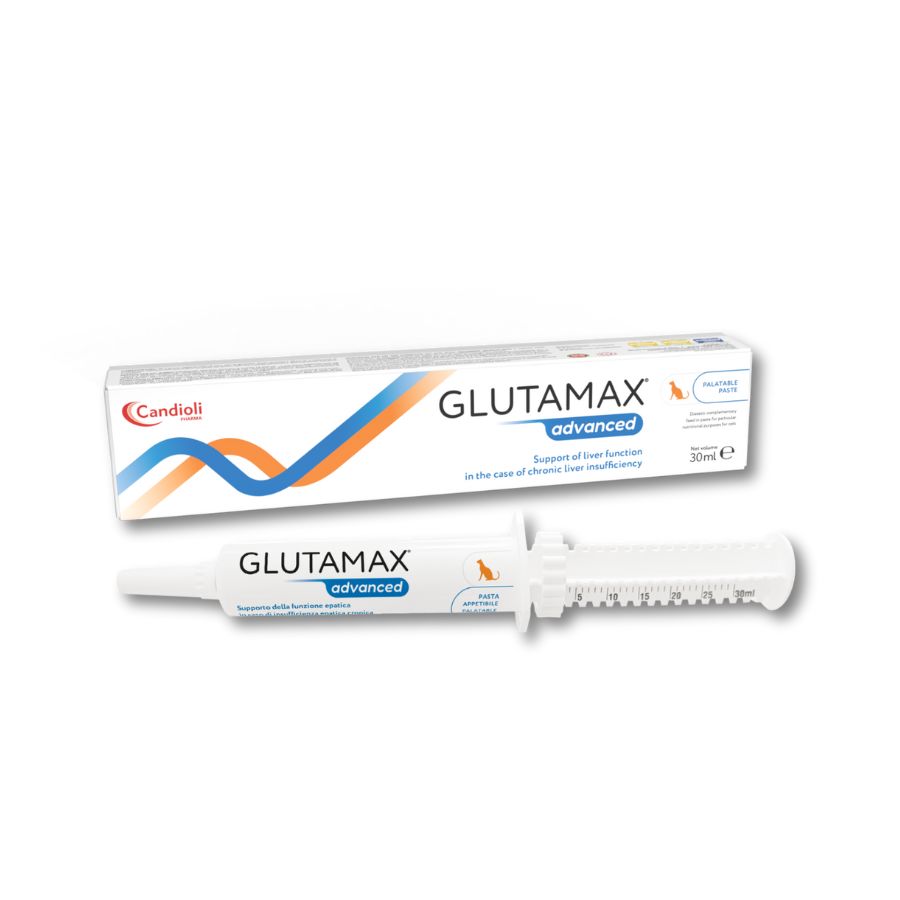 GlutaMax ADVANCED-Paste