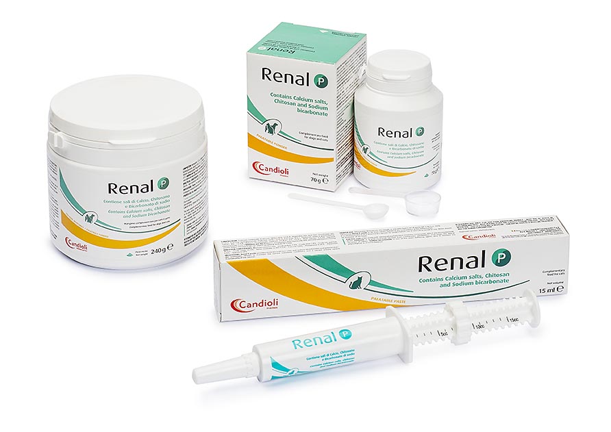 renal supplements for cats