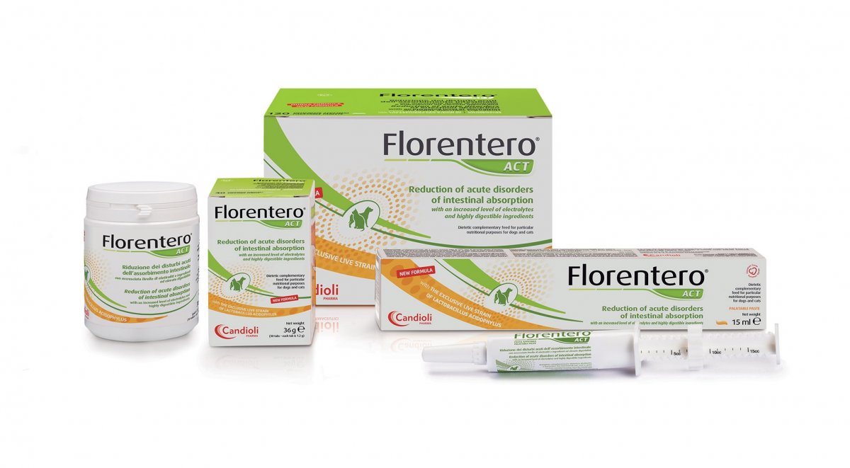 Florentero ACT com Lactobacillus acidophilus