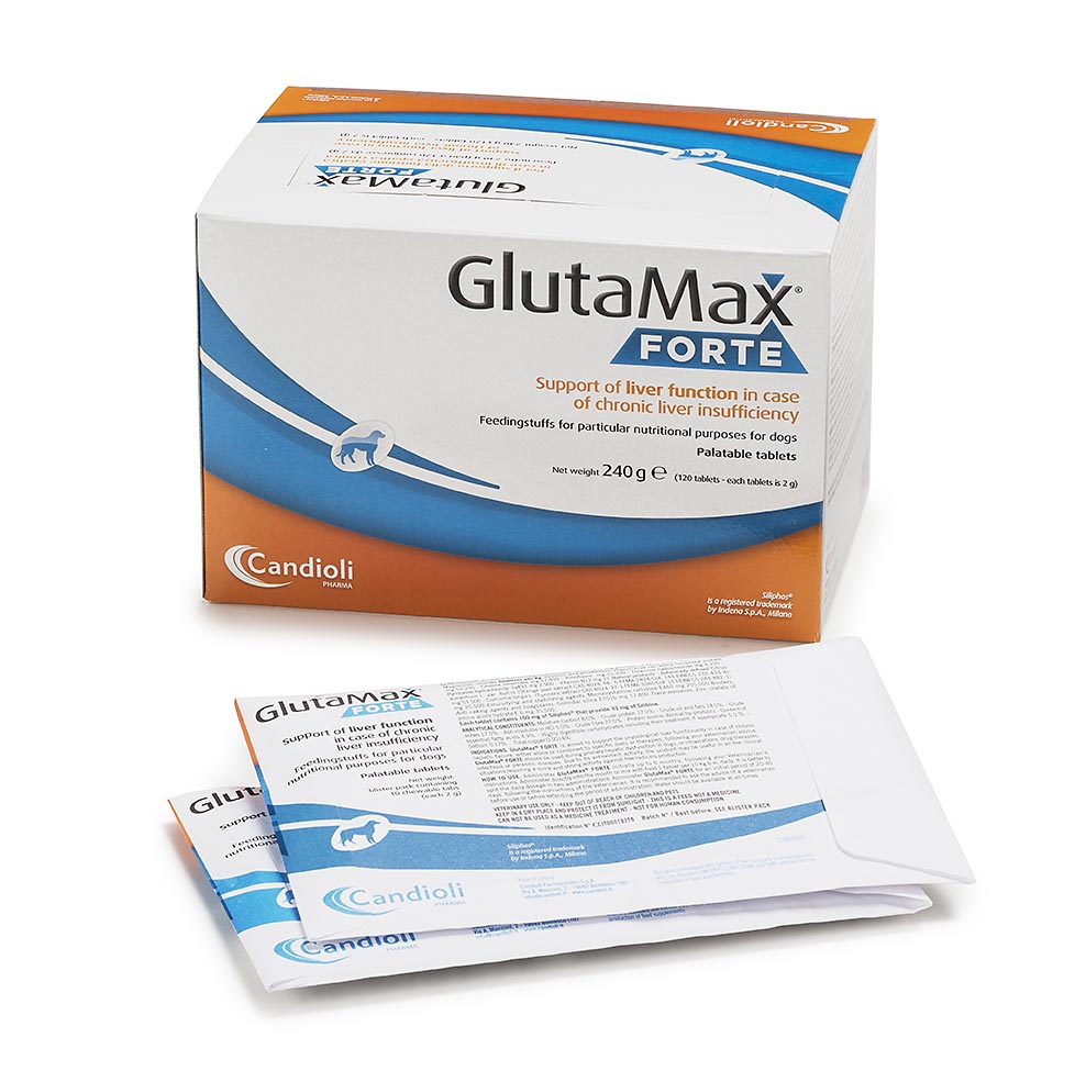 GlutaMax Forte dispensador 120 comprimidos cães