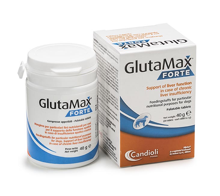 GlutaMax Forte 20 comprimidos cães