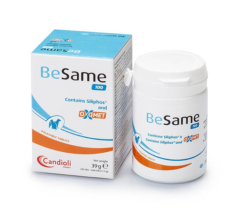BeSame 100 mg cats and small dogs