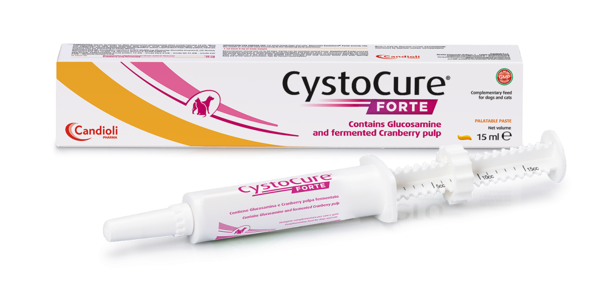 Cystocure Forte