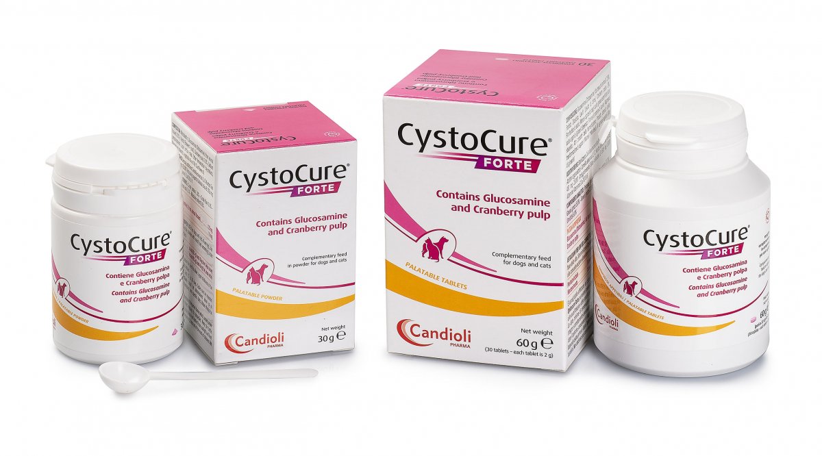 Cystocure Forte