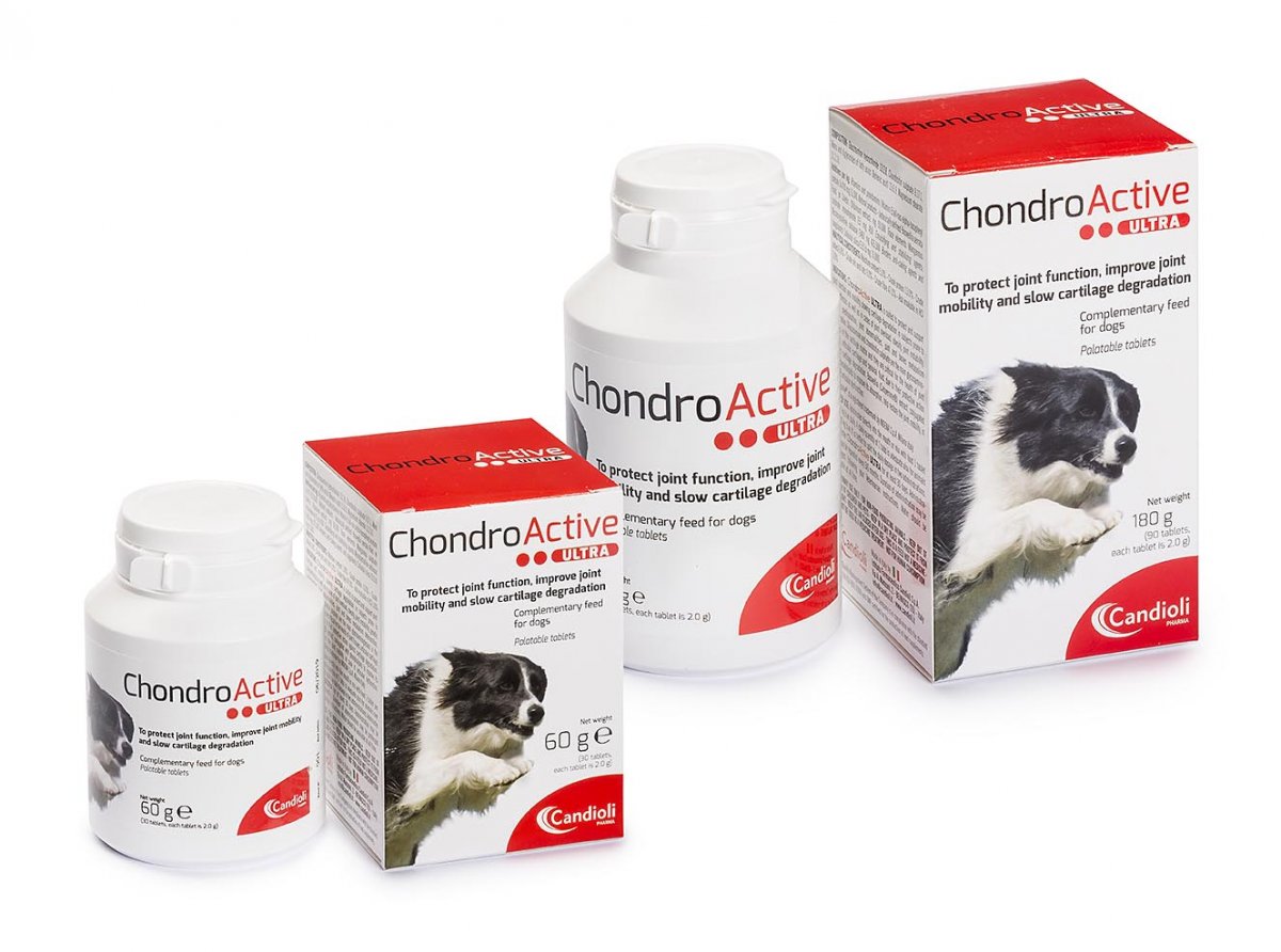 ChondroActive Ultra