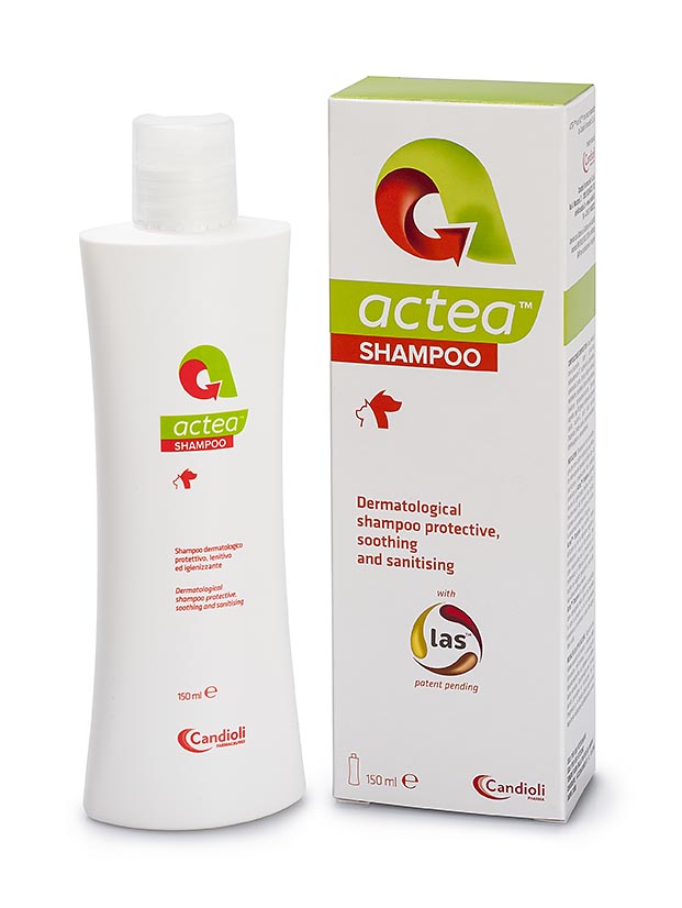 Champô Actea Shampoo com peptídeo natural
