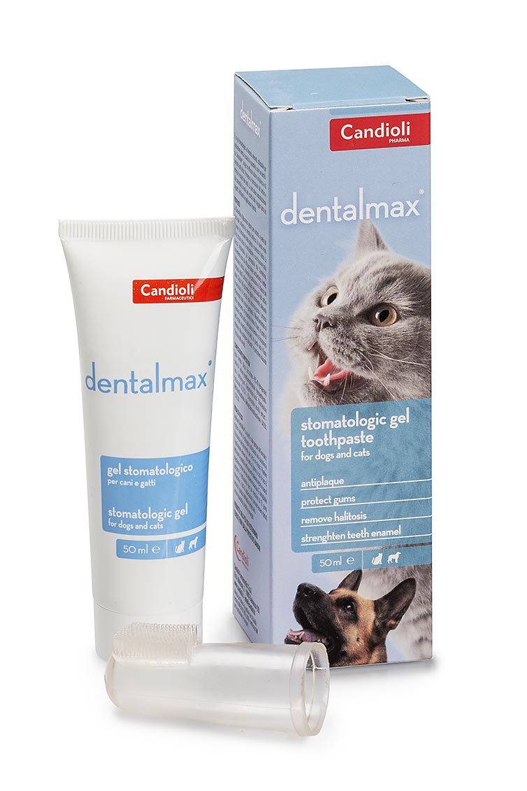 DentalMax