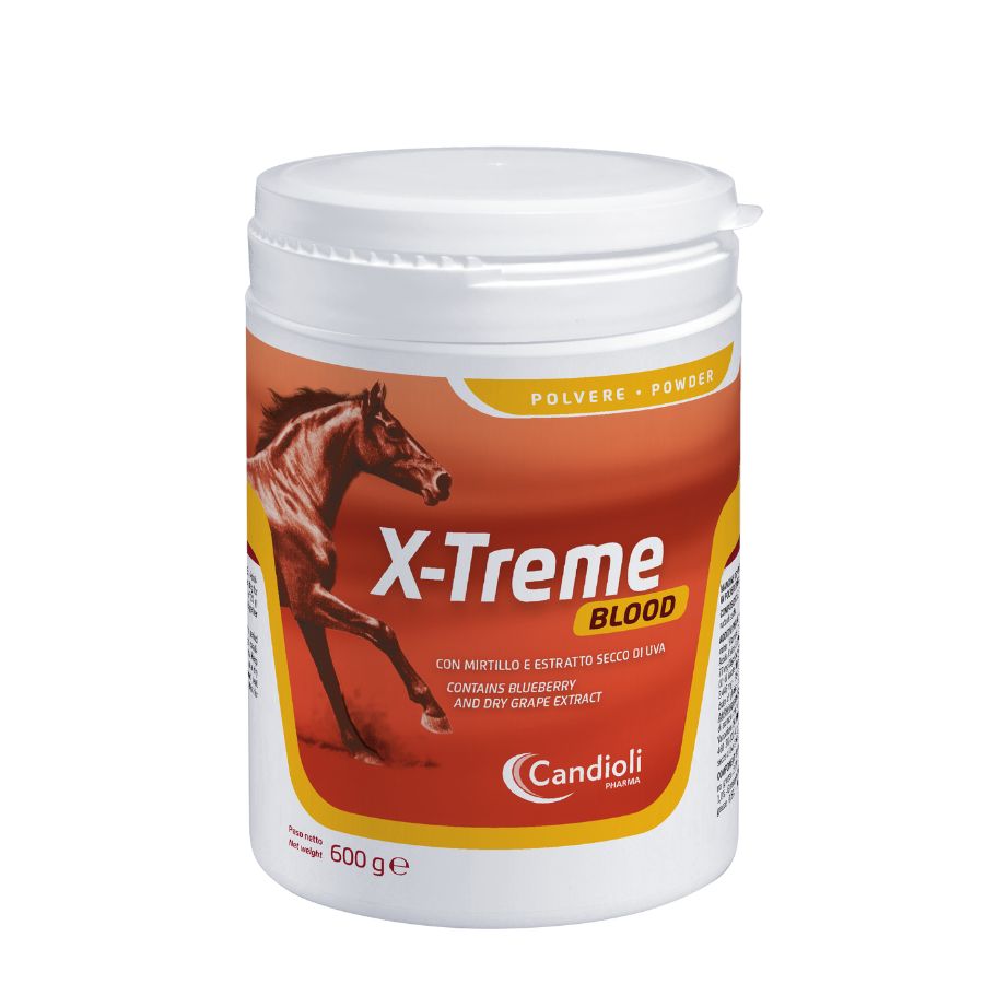 X-Treme Blood