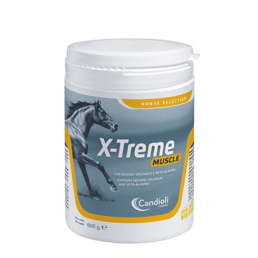 X-Treme Muscle