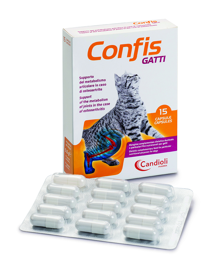Confis cats 15 cápsulas para a osteoartrose