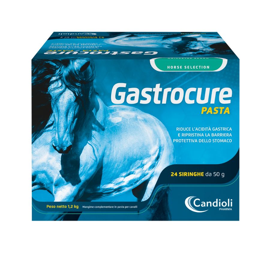 Gastrocure paste