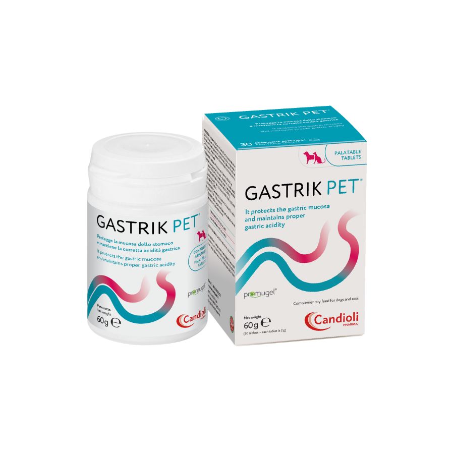 Gastrik PET